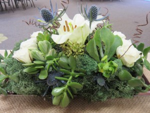 Succulents were included in table arrangements.
